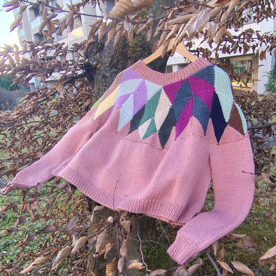 Intarsia - Trui
2
