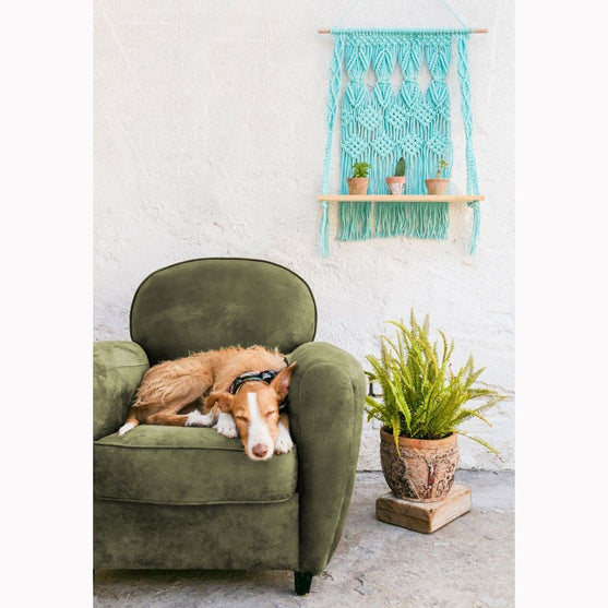 Nova Vita 12 - 22 home decor projecten - DMC
2