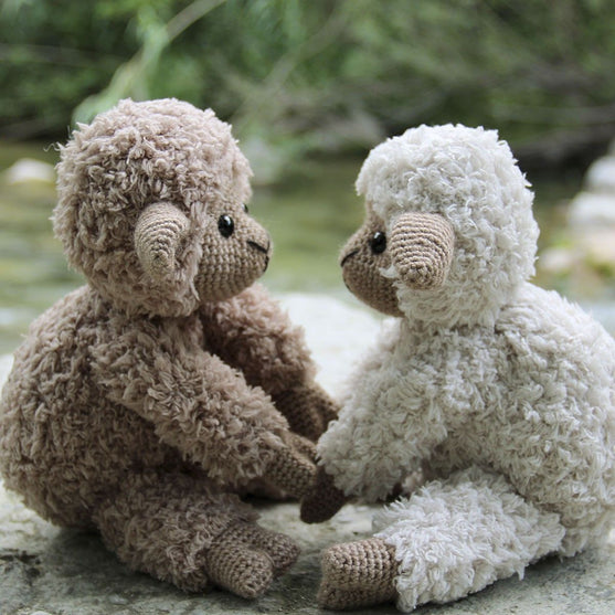 Teddy Basserne
4