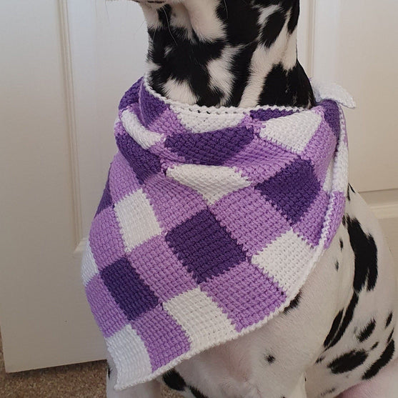 Summer Picnic - Hondensjaal
2