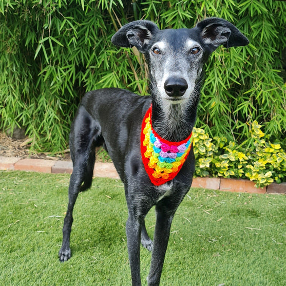 Dandy - Bandana voor de Hond
2