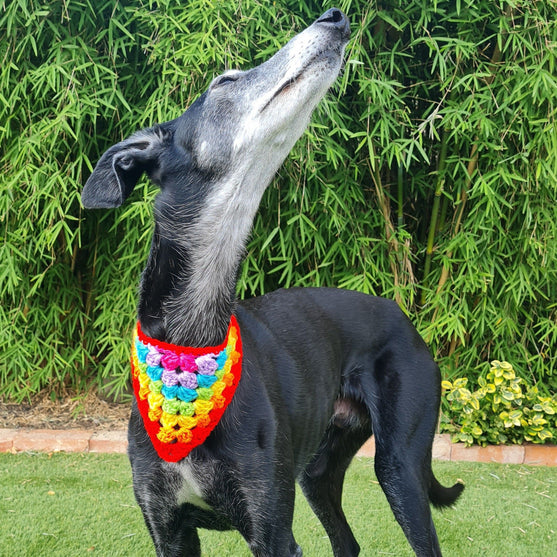 Dandy - Bandana voor de Hond
3