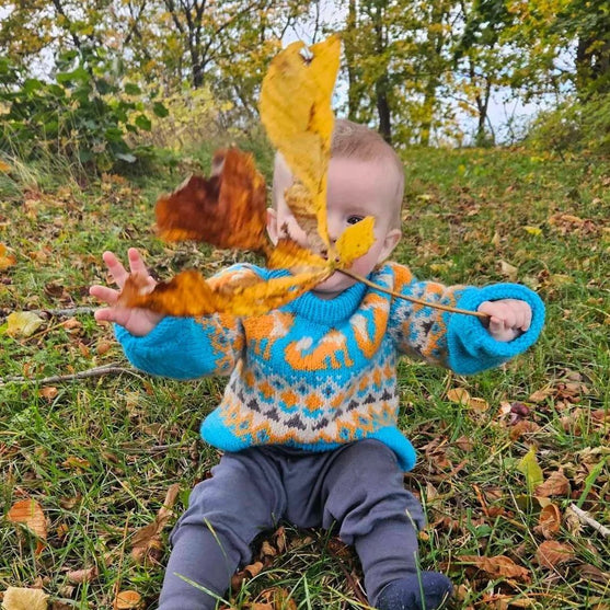 Happy Fox - Kindertrui
2