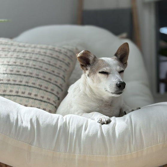 Homebody - Kussen Overtrek
6