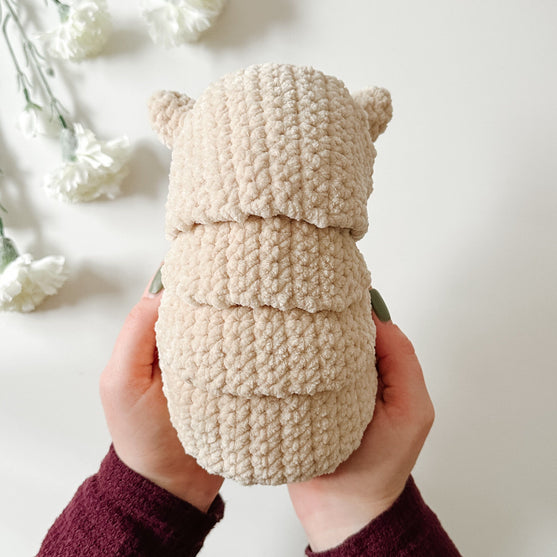 Gordeldier Armando
3