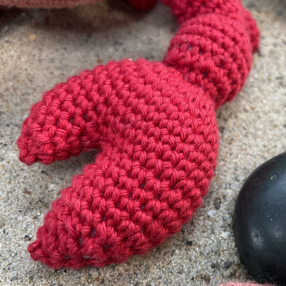 Kreeft - Sterrenbeeld
3