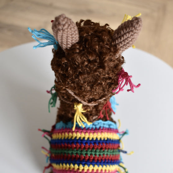 Pico Alpaca
10