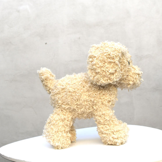 Doodle Dog
3
