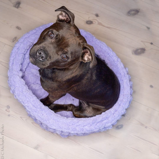 My Place - Hondenmand
6