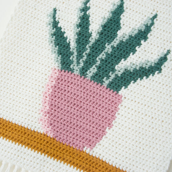 Snake Plant - Wandhanger
4