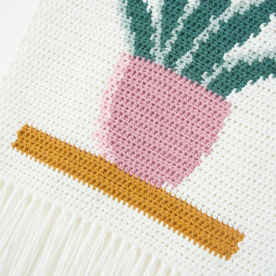 Snake Plant - Wandhanger
5