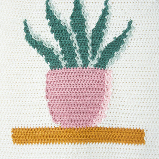 Snake Plant - Wandhanger
6