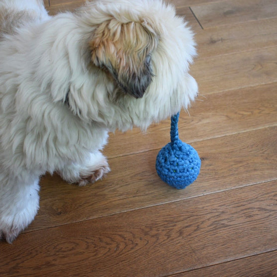 Kikkervisje - Hondenspeelgoed
4