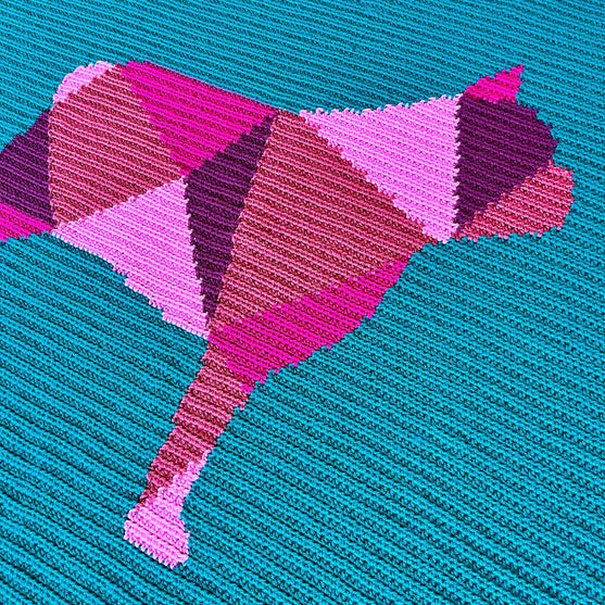 Franse Bulldog - Plaid
4