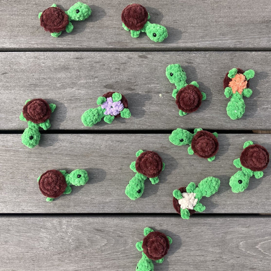 Rainbow Turtles - Memory
9