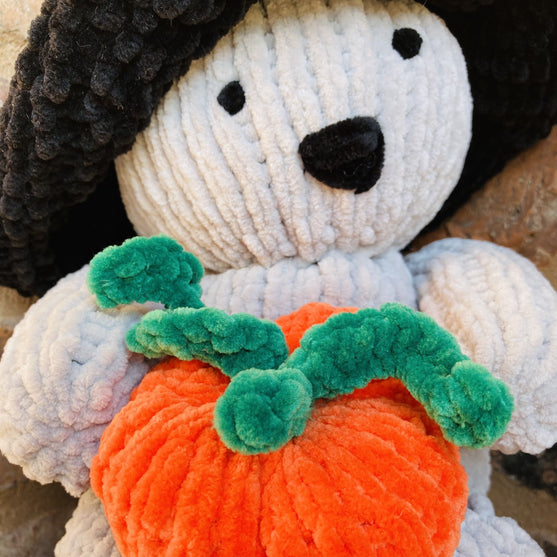 Pumpkin Bear
3