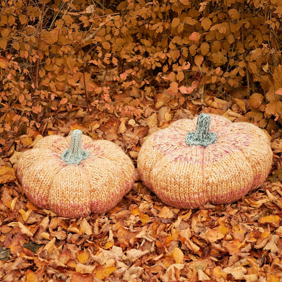 Gigantische Pompoenen
4