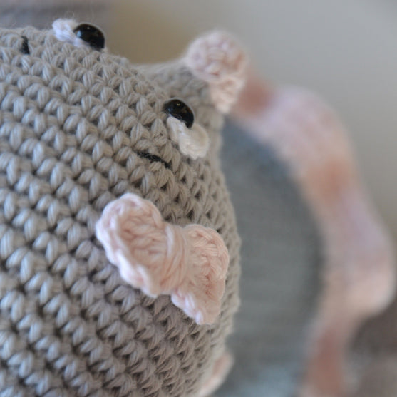 Muis Fie
3