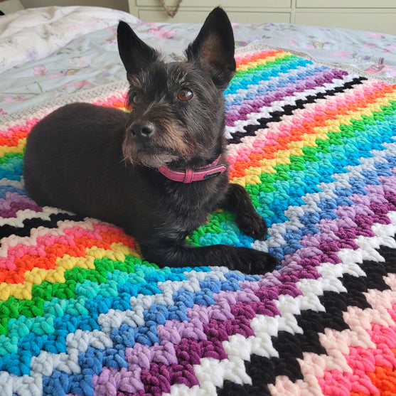 The Rainbow Cuddle Blanket - Plaid
5