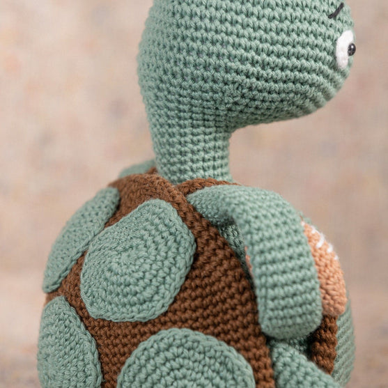 Theo de schildpad
4