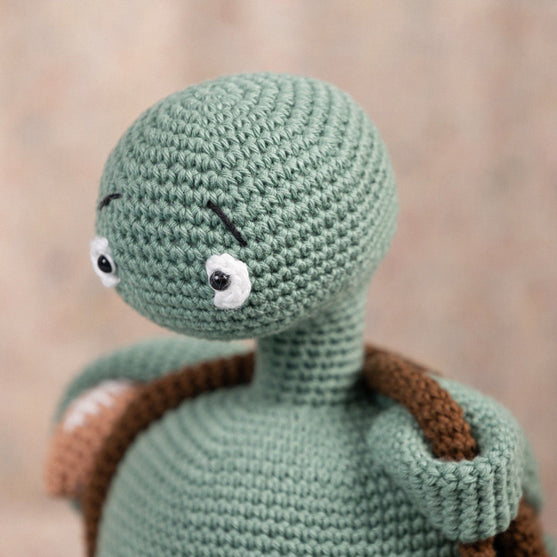 Theo de schildpad
5
