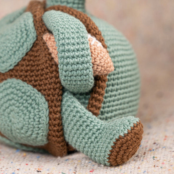 Theo de schildpad
7
