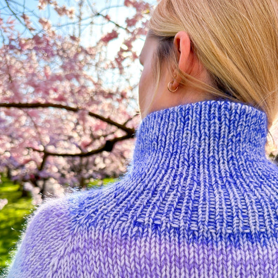 Vinterpasteller - Trui
4