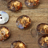 

Crystal knopen met 2 gaatjes - 18 mm - Go Handmade
9