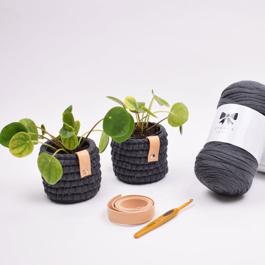 Gehaakte Ribbon Pothoes - Klein