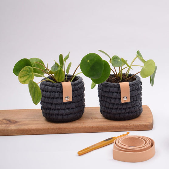 

Gehaakte Ribbon Pothoes - Klein
2