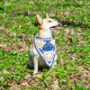 

Gina - Bandana voor hond
1
