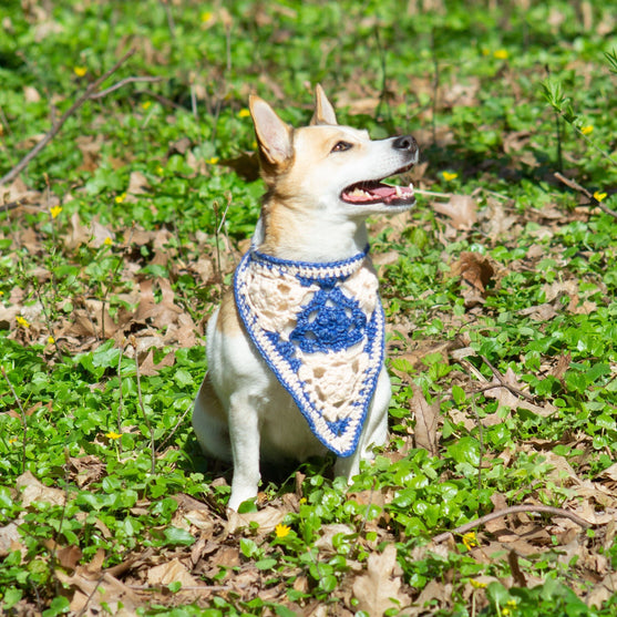 

Gina - Bandana voor hond
1