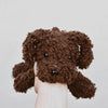 

Cavapoo
6
