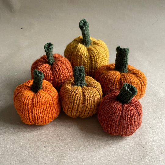 Mini-pompoen - Kleine sierpompoenen