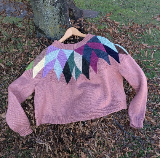 Intarsia - Trui