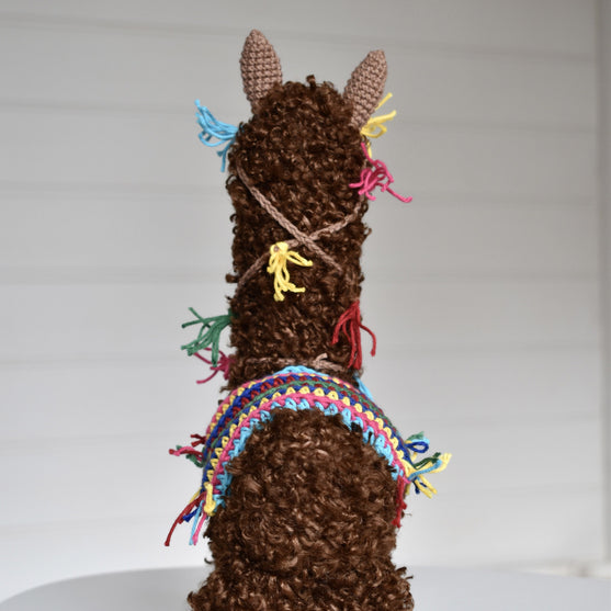 

Pico Alpaca
9