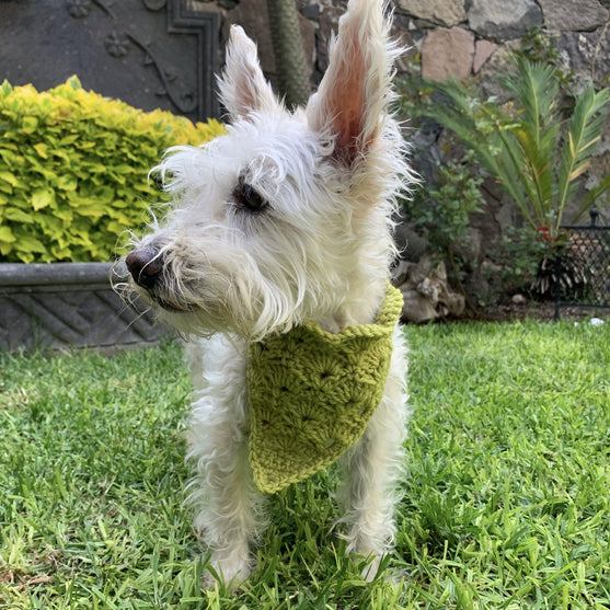 

Cuddly Wrap - Bandana voor de Hond
4