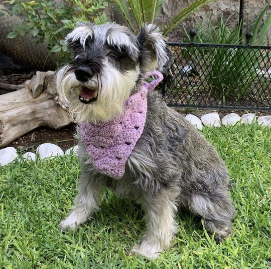 Cuddly Wrap - Bandana voor de Hond