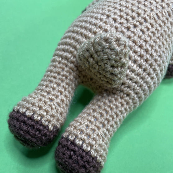 

Steenbok - Sterrenbeeld
8