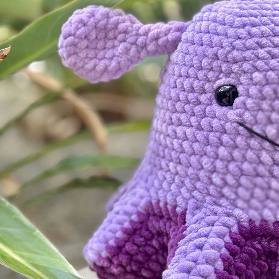 

Wade de paraplu-octopus
3