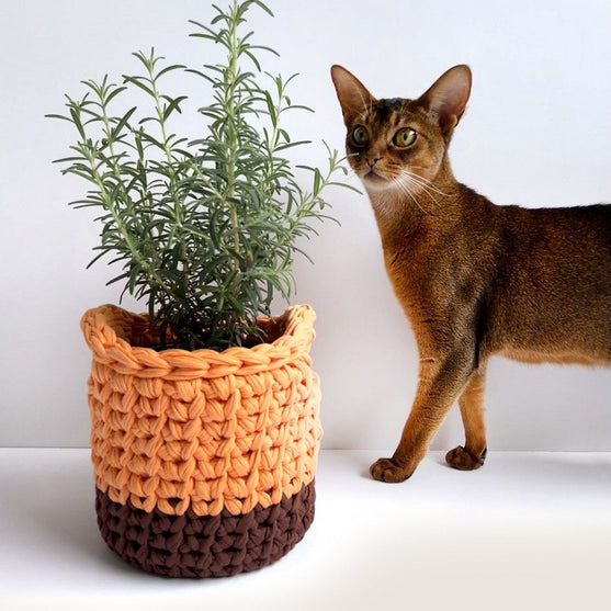 

Keep it - Mandenset
7