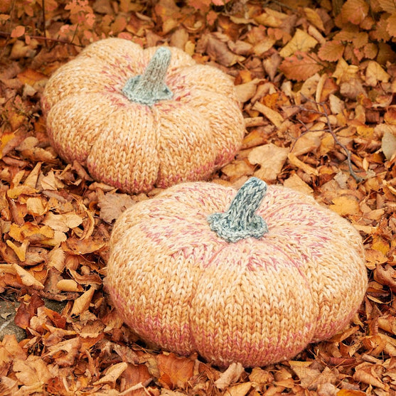 

Gigantische Pompoenen
2