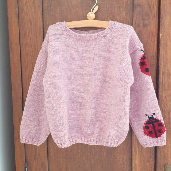 

Ladybug - Kindertrui
1