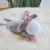 

Ezel - Knuffeldoekje
2