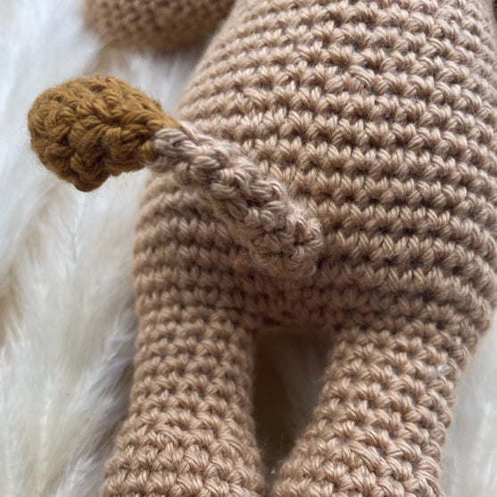 

Leeuw - Sterrenbeeld
6