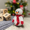 

Tuimel sneeuwpop
2