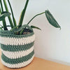 

June - Plantenmand
2